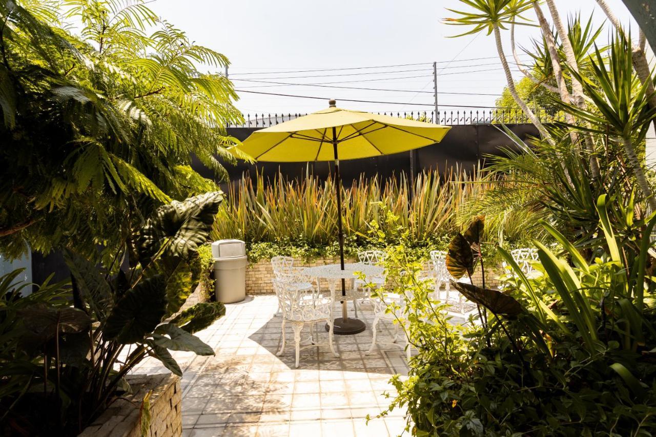Casa Mateo Hotel Guadalajara Exterior photo